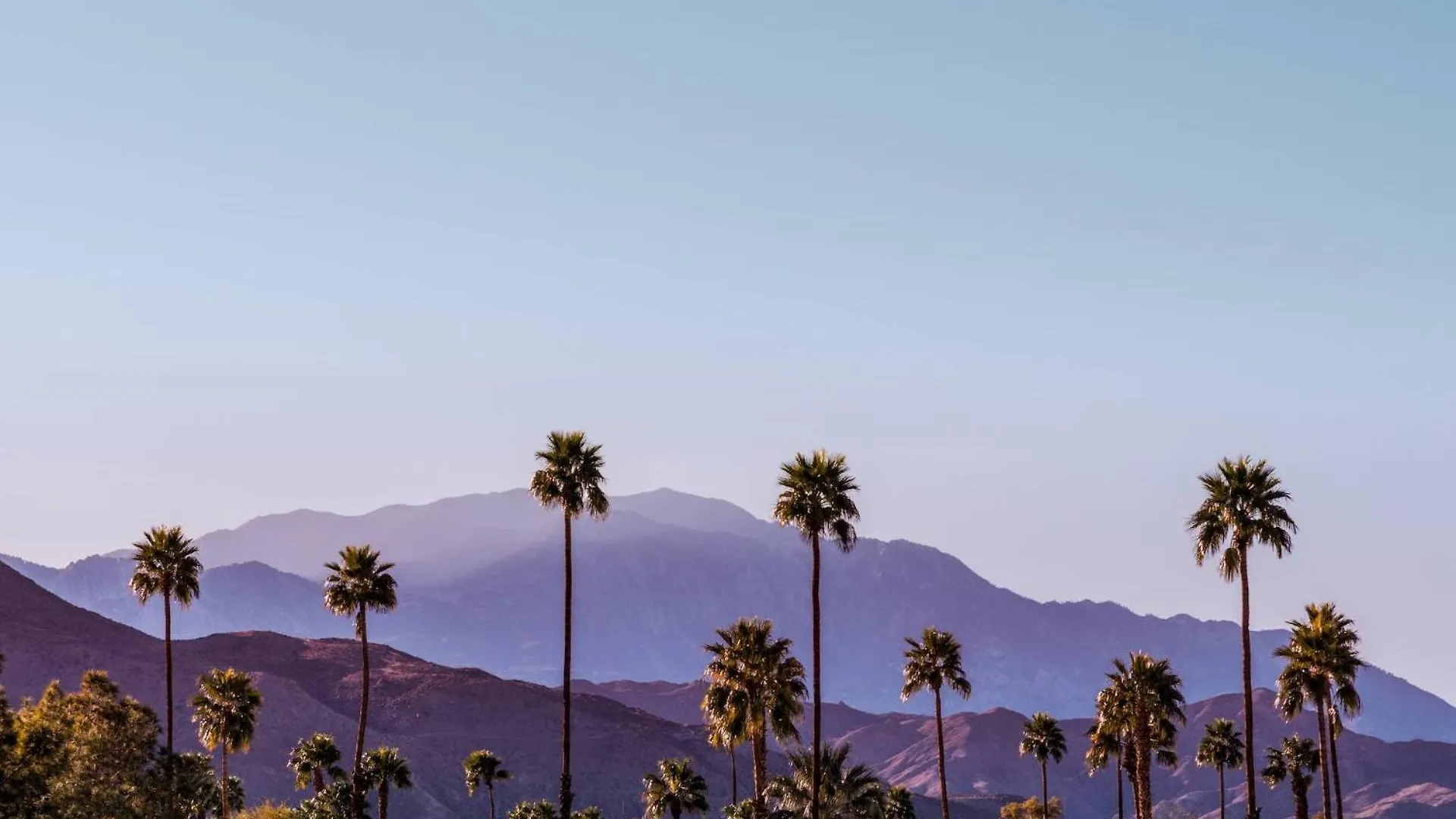Condo 2829 S. Palm Canyon Dr パーム・スプリングス 別荘